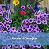 Memories of Ocean Grove 