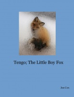 Tengo; The Little Boy Fox