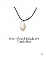 How I Found & Stole the Consitution