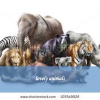 lovely animals