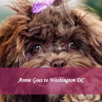 Annie Goes to Washington DC