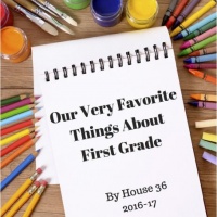 Our Favorite Things About First Grade