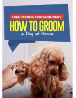 How To Groom (Dogs)