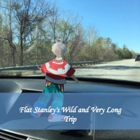 Flat Stanley's Wild and Very Long Trip