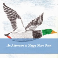 An Adventure at Happy Moon Farm