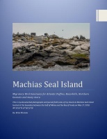 My time on Machias Seal Island 