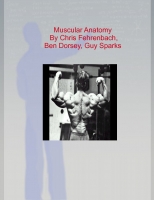 Muscular Anatomy