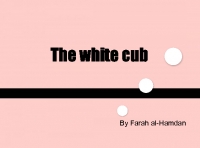 The white cub