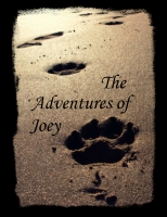 the adventures of Joey