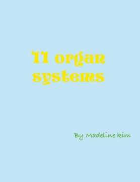 11 Organ system