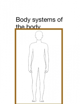 Body system bookses
