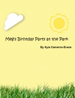 Meg's Birthday Party at the Park