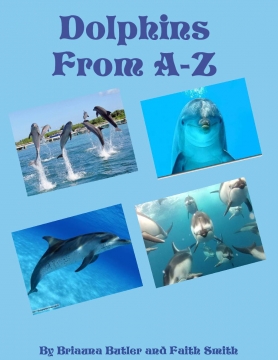 Dolphins from A-Z