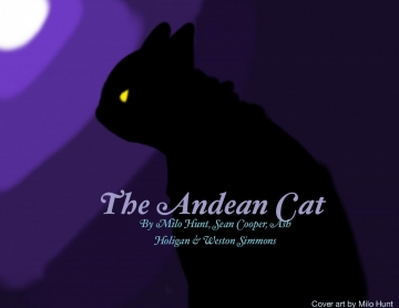 The Andean Cat