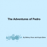 The Adventures of Pedro