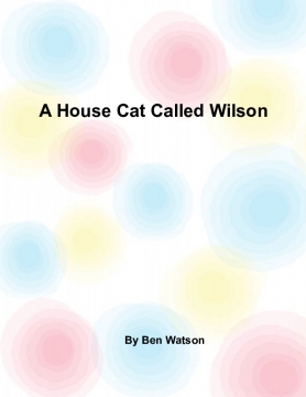 A House Cat Called Wilson