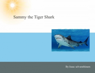 Sammy the Tiger Shark