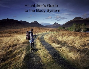 Hitchhiker's guide to the body system