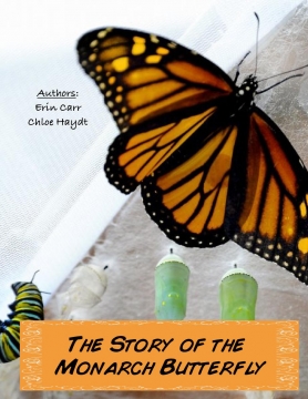 The Story of the Monarch Butterfly