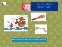 Co Co gets groomed