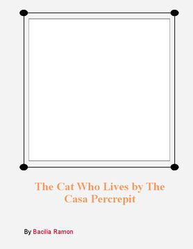 the cat who lived in The casa pecrepit