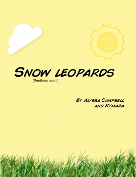 Snow leopards