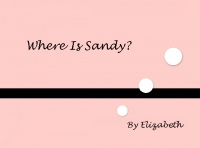 Where Is Sandy