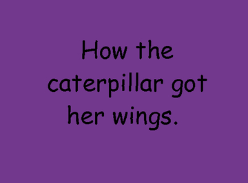 How the caterpillar got her wings