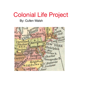 Colonial Life Project