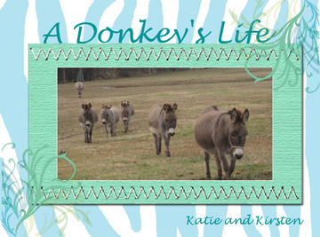 A Donkey's Life