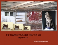 The Three Little Mice And The  Big Bad Cat