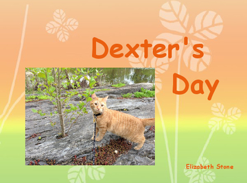 Dexter's Day