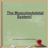 The Musculosketal System
