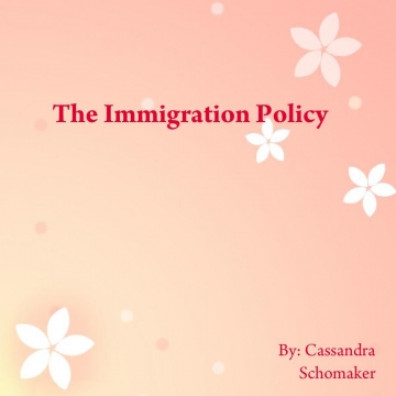 The Immigration Policy