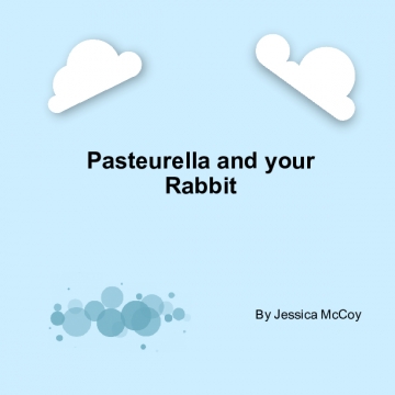 Pasteurella and your Rabbit
