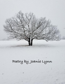 Poetry by Joanie Lynn