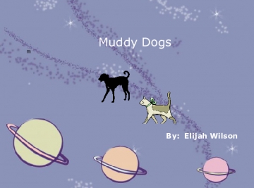 The Cat and Dog In  the Mud