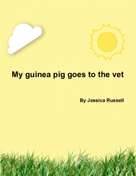 My guinea pig goes to the vet