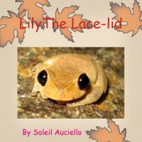 Lily the Lace-lid