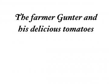 Gunter and his lovely tomatos