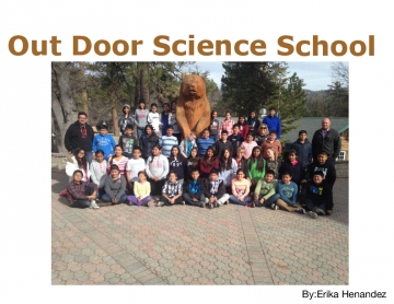 Out Door Science School