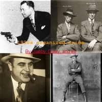 Organized Crime of the '20's
