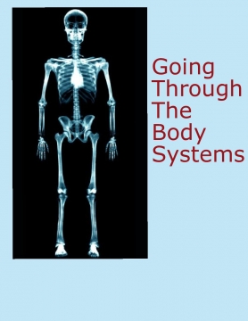 Journey through Body Systems