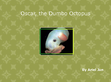 Oscar, the Dumbo Octopus