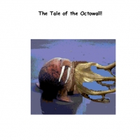 The Story Of The Octowal