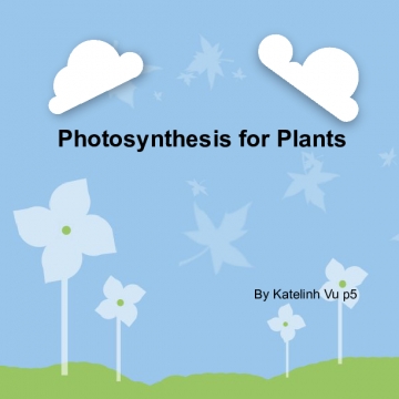 Photosynthesis For Plants