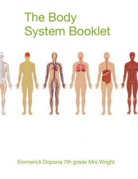 Body Systems Booklet