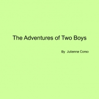 The Adventure of Two Boys