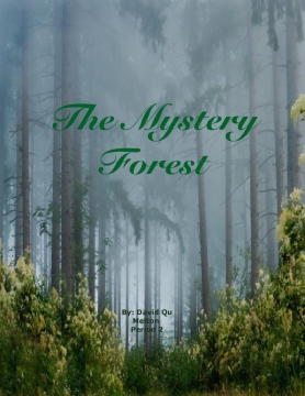 The Mystery Forest