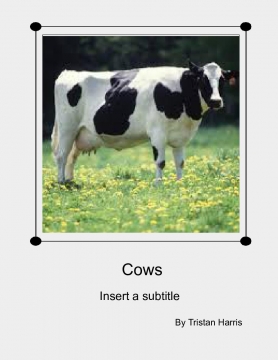 cows